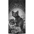 Alchemy Paracelsus - The Philosophers Familiar XBox Series X Digital Edition Console Skin